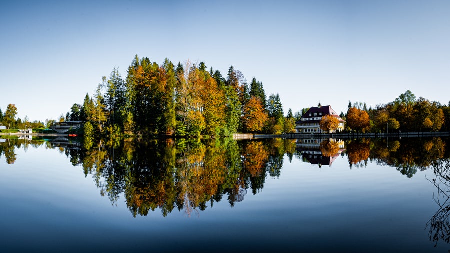 Fall Trees surrounded by water at Lindenberg, Germany