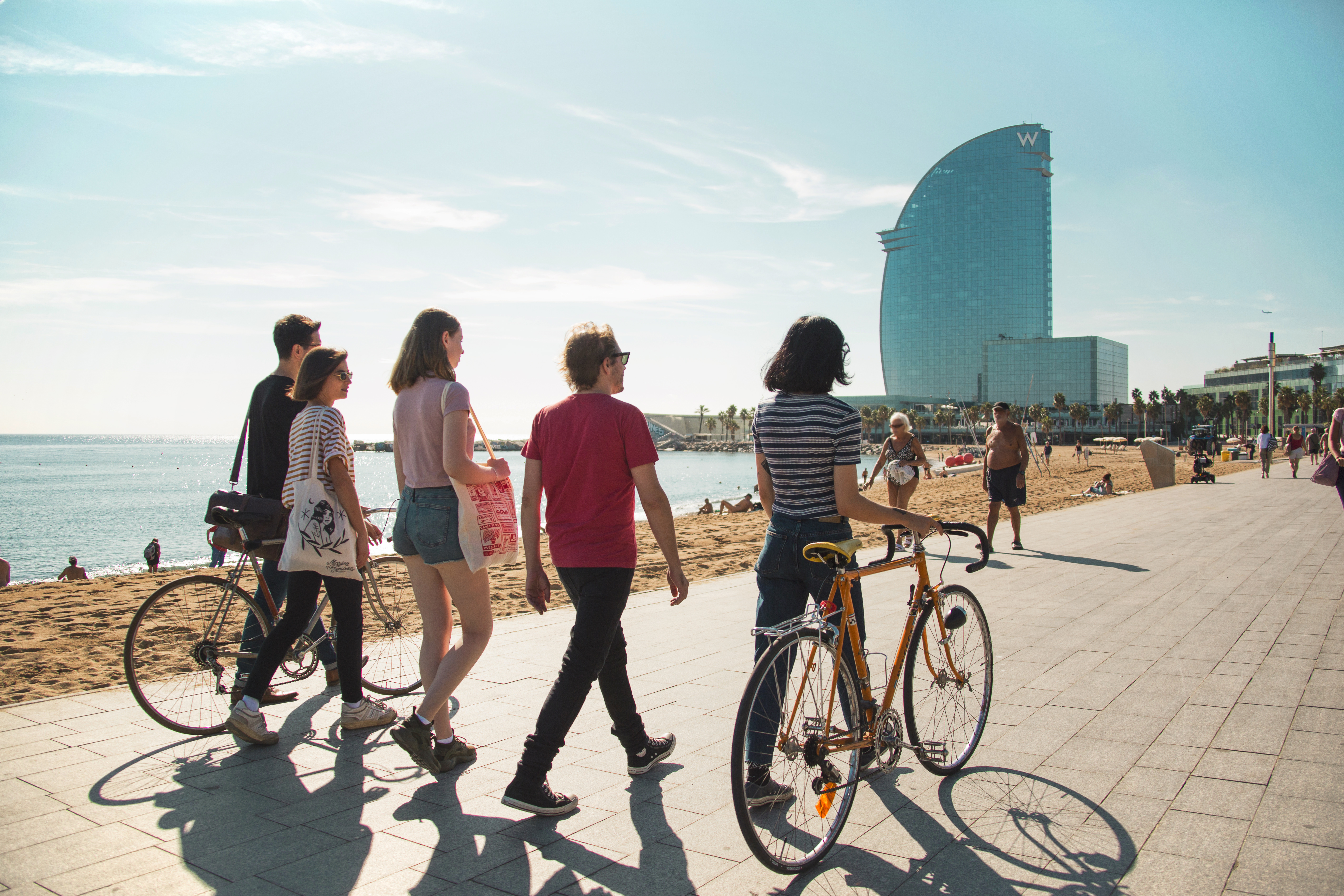 A group of students walking by the beach
