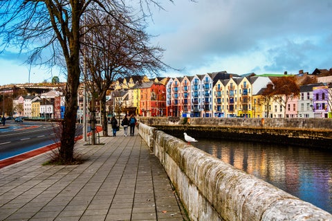 The bank of the River Lee in Cork, Ireland, a peaceful riverside scene