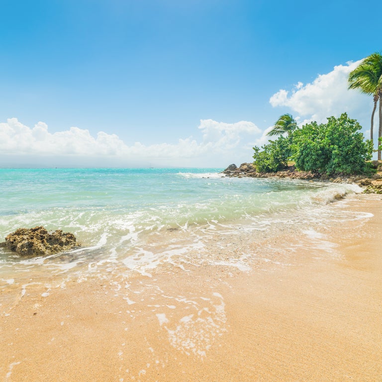 Golden sand in Bas du Fort shore in Guadeloupe