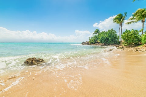 Golden sand in Bas du Fort shore in Guadeloupe