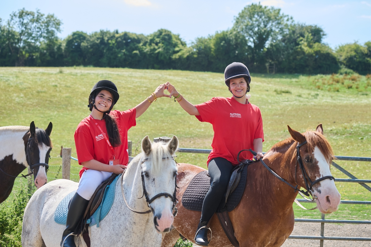 Promo Block Alpadia Christmas