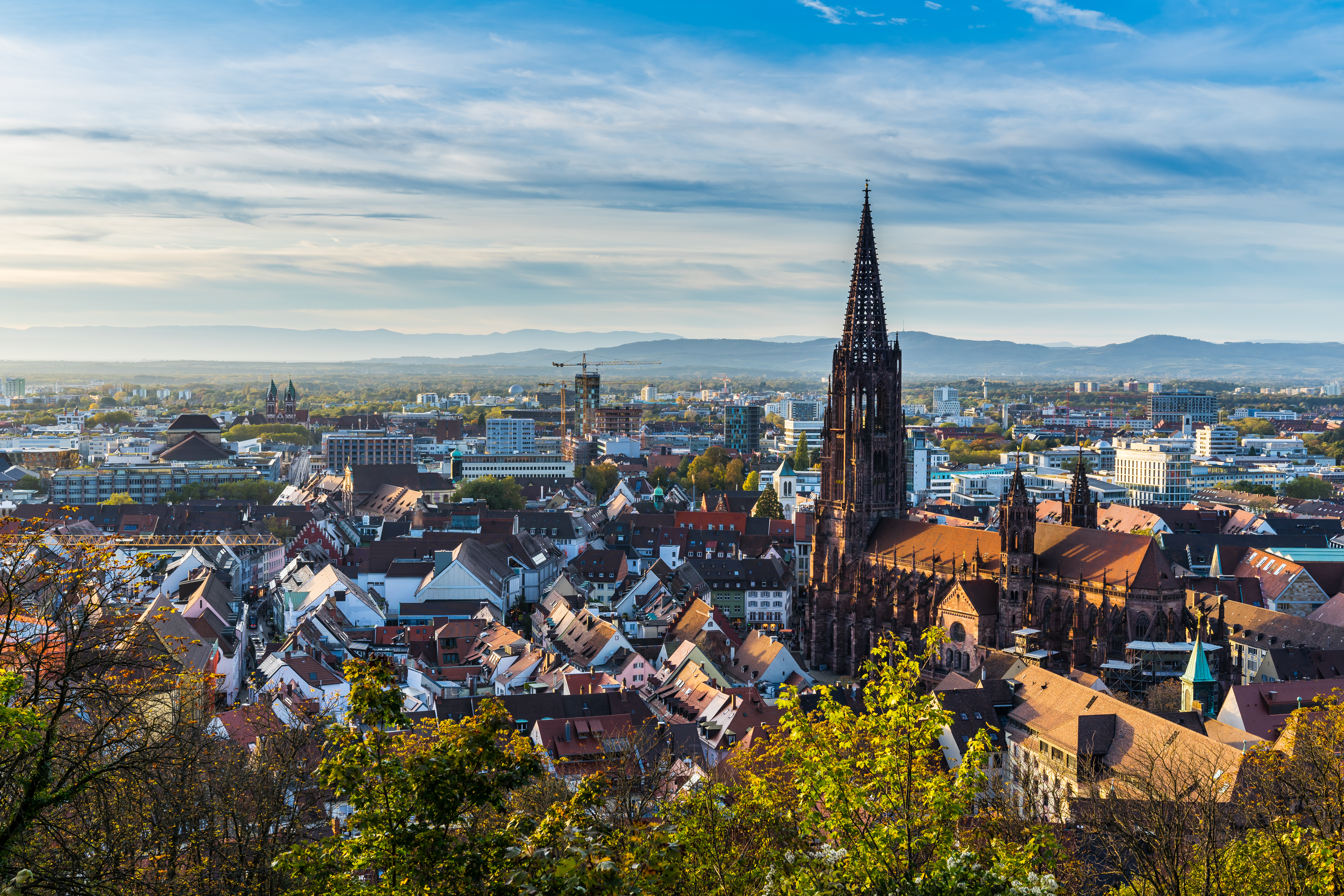 Aerial view of Freiburg Historic City Center featuring Freiburg Minster (Freiburger Münster) with it's historical gothic architecture in Germany