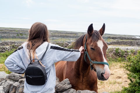 Young girl gently holding a horse in the scenic countryside of Bray, Ireland, with rolling green fields and distant hills in the background