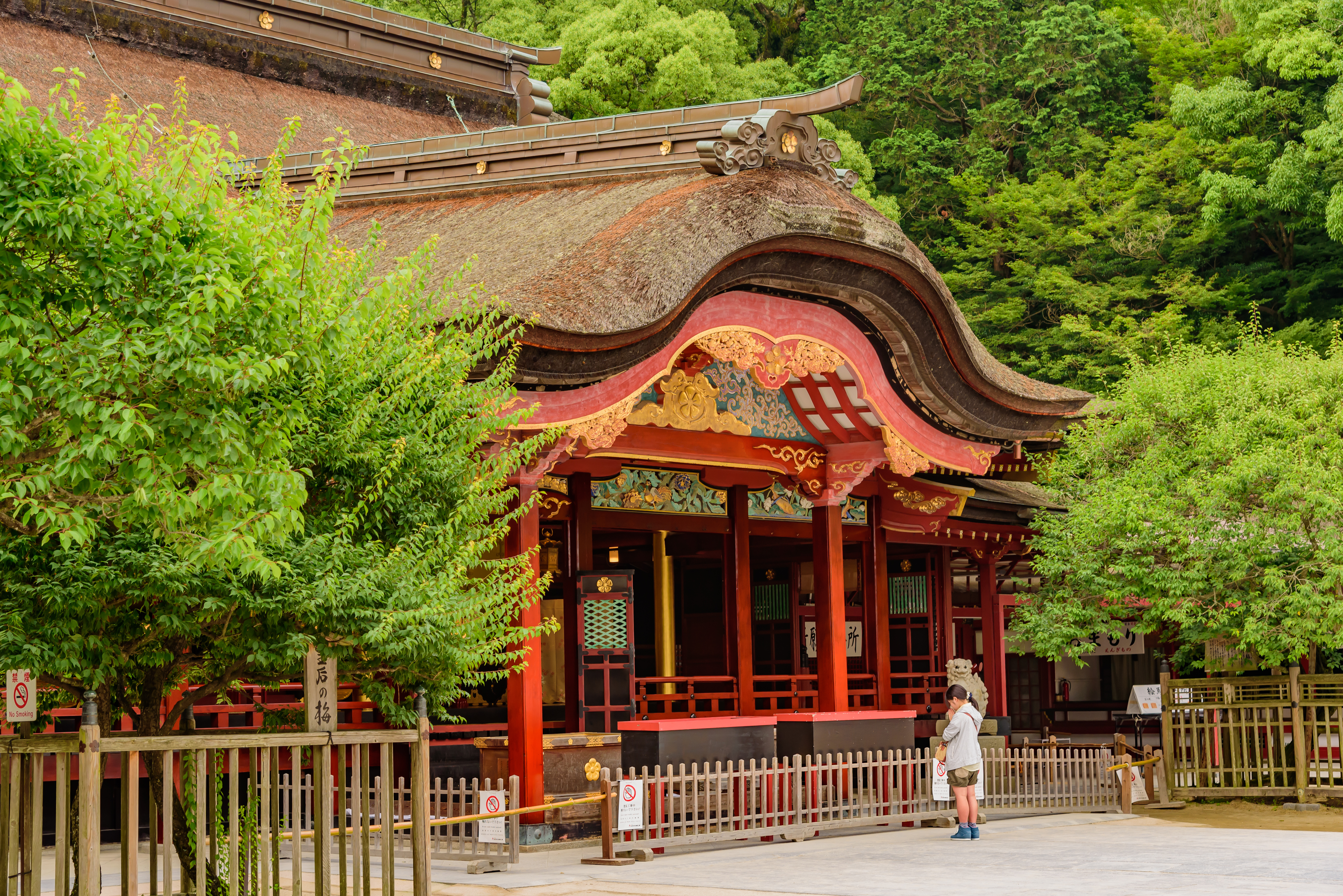 Dazaifu Tenmangu Shrine with a curved, ornate roof and vibrant red and gold details in in Fukuoka, Japan