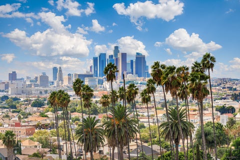 cloudy day of Los Angeles downtown skyline and palm trees in foreground