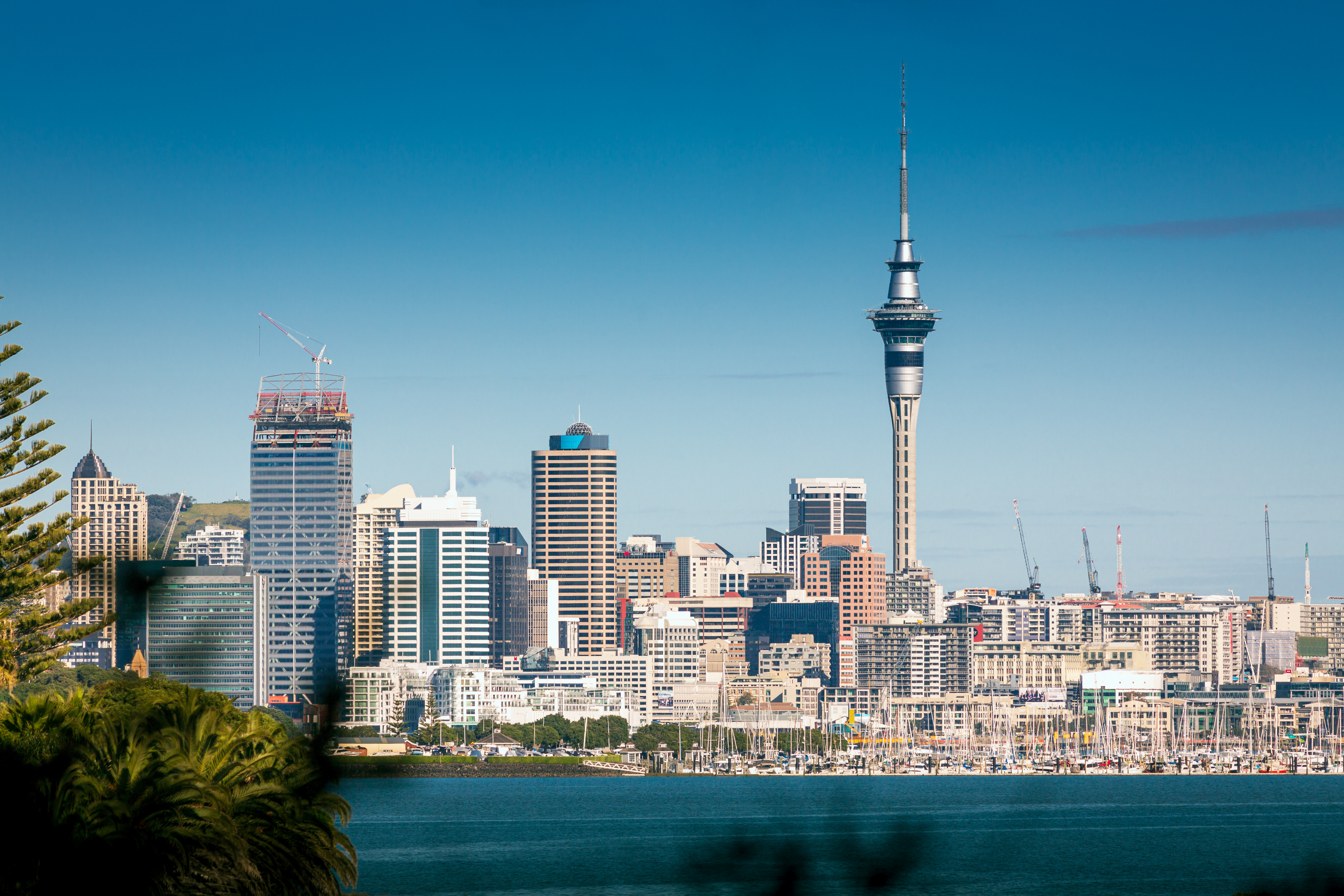 Auckland CBD skyline with Sky Tower, modern high-rises, and Waitematā Harbour in the background