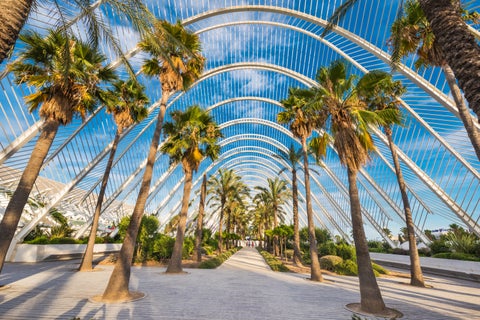 Architectural arches with palm trees inside in Valencia, Spain, likely in the Turia Gardens or near the City of Arts and Sciences