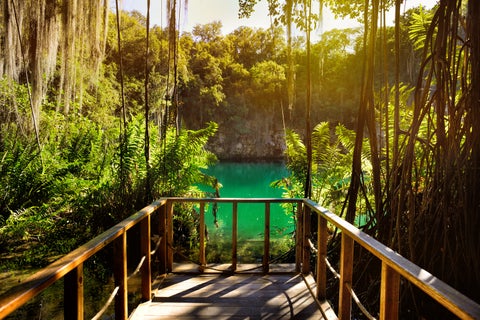 Limestone lake surrounded by trees and cave walls in Los Tres Ojos National Park, Santo Domingo