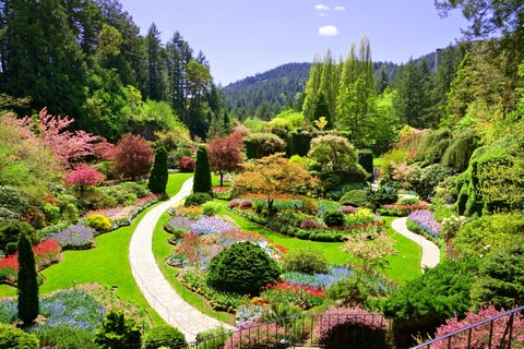 Park with colourful trees in the Fall at Victoria, British Columbia, Canada