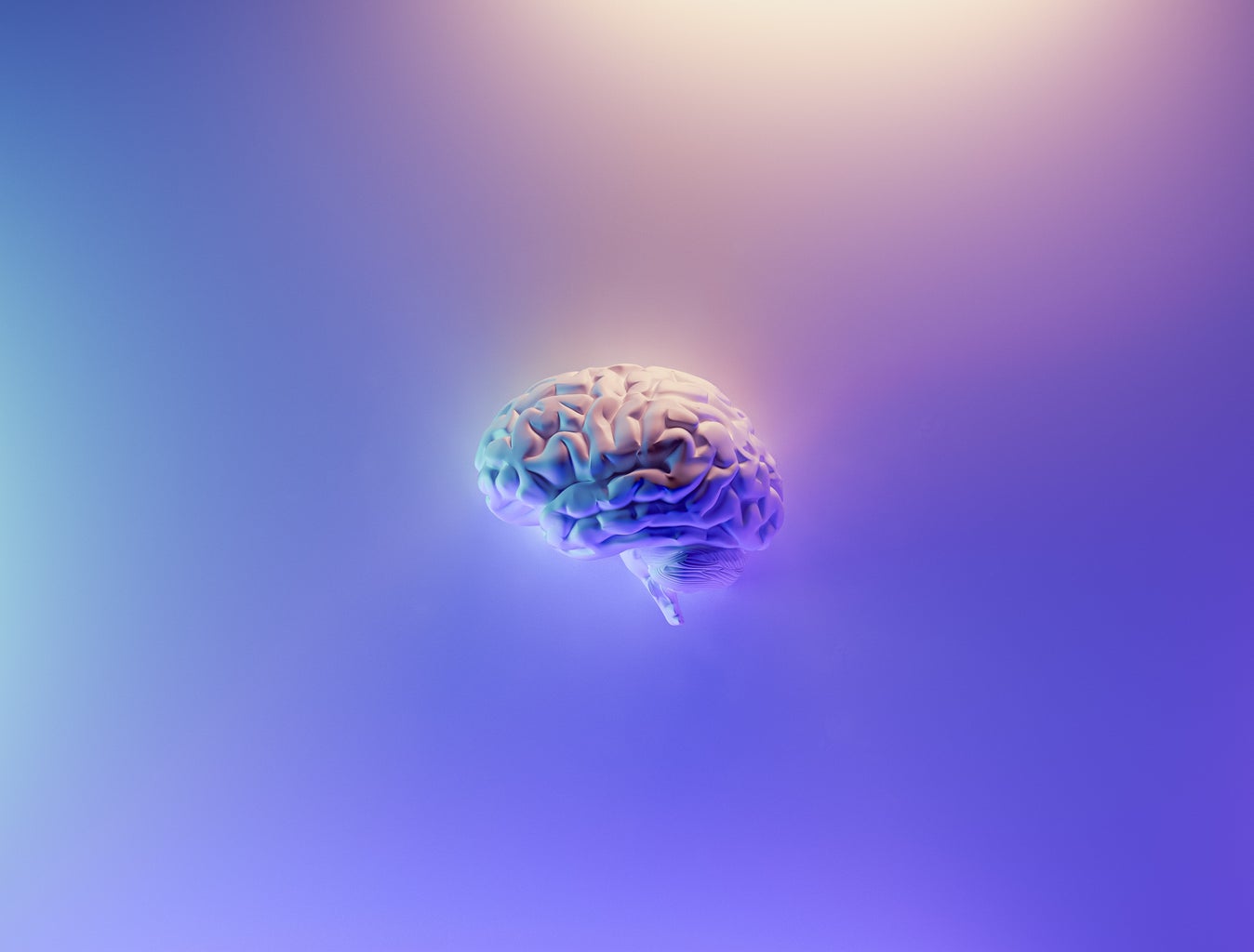 Brain with purple background