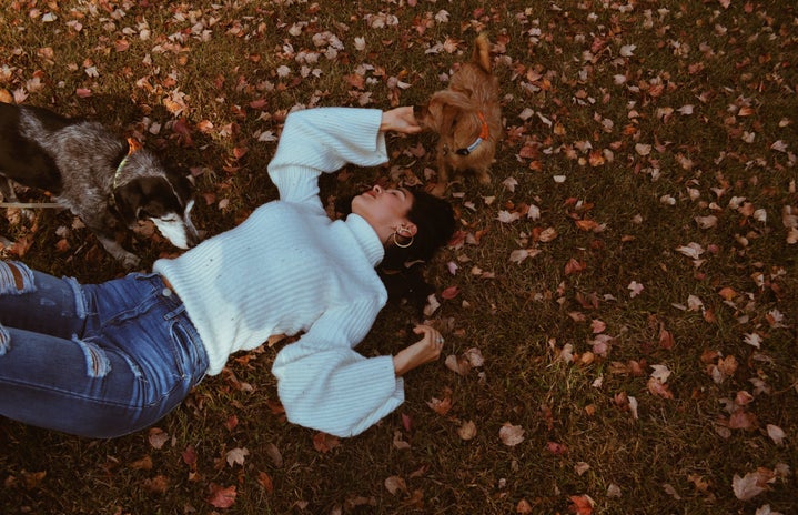 woman lying on ground with leaves by Molly Champion?width=719&height=464&fit=crop&auto=webp