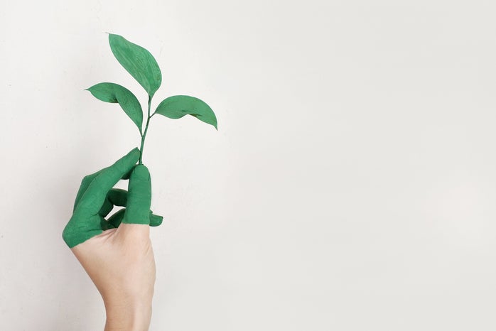 person with green fingers holding a sprout