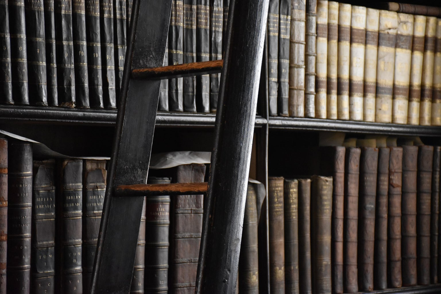 Library with old books and ladder