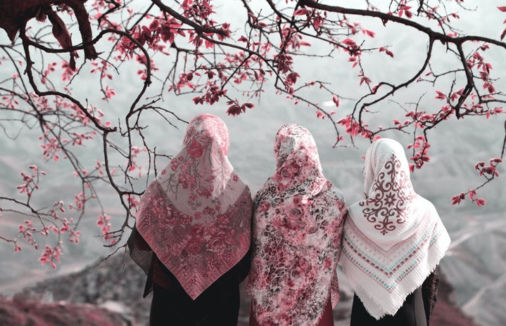 Three muslim women under a cherry blossom tree by Hasan Almasi?width=719&height=464&fit=crop&auto=webp