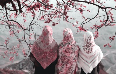 Three muslim women under a cherry blossom tree