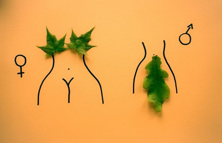 Drawing of women\'s body with leaves covering private parts