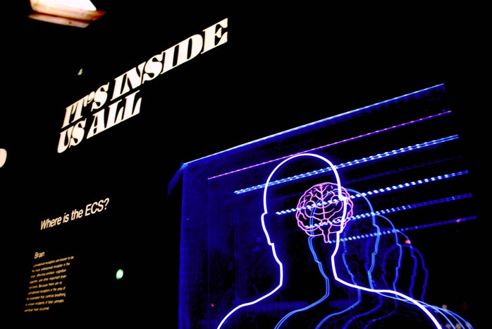 light up sign of a human brain that says \"it\'s inside us all\"