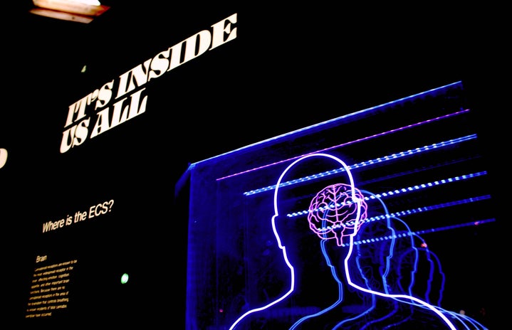 light up sign of a human brain that says \"it\'s inside us all\"