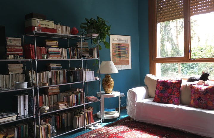 Bookshelves and couch, a home library