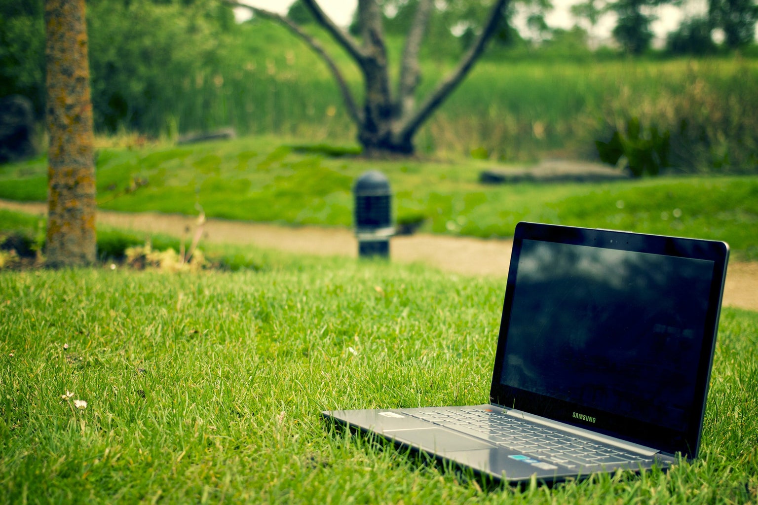 gray and black laptop sitting on the grass