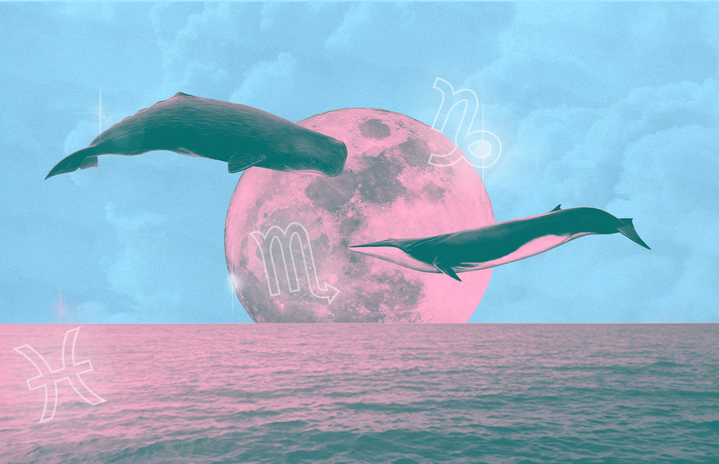 What Is My Moon Sign & What Does It Mean? An Explainer On Your Needs ...
