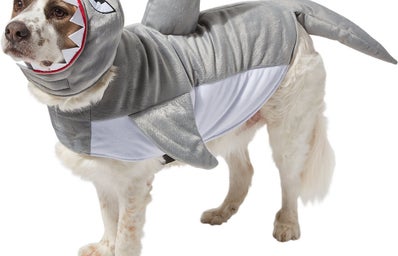 shark dog and cat costume