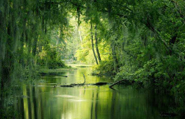 swamp green