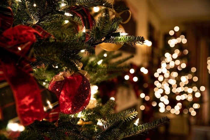 Christmas tree lights and red and gold decorations by Tessa Rampersad?width=698&height=466&fit=crop&auto=webp