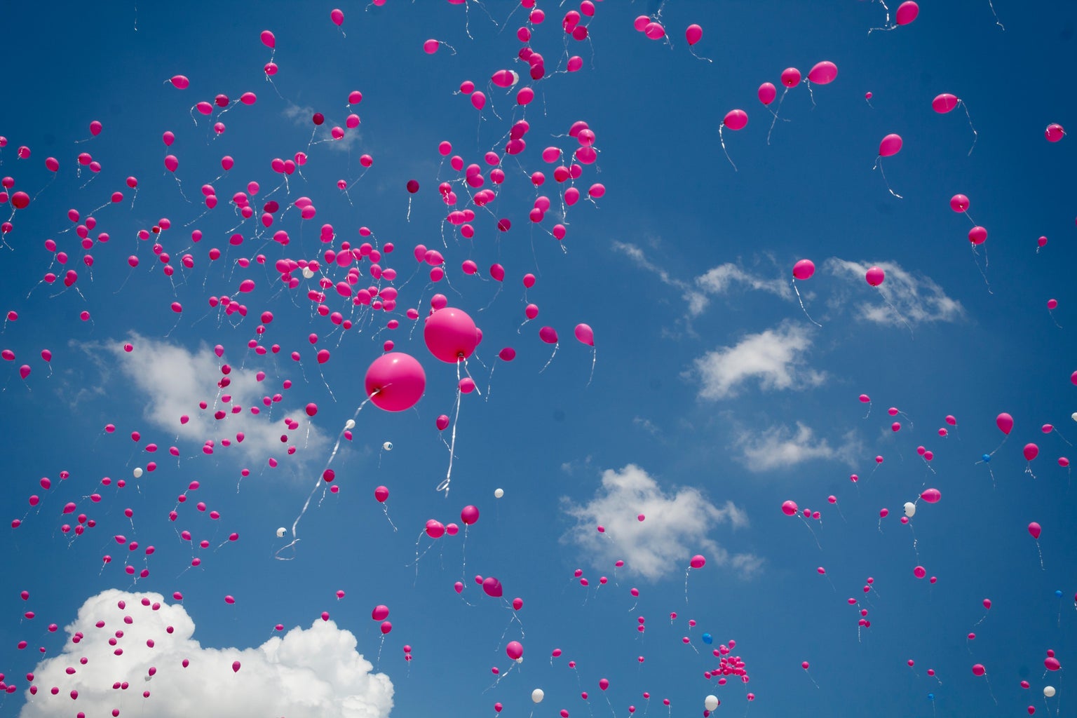 Pink balloons floating off into the air