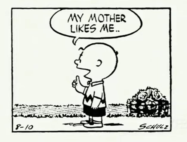 Charlie Brown one-panel comic.