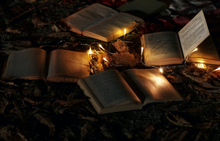 books and fairy lights on the ground with leaves