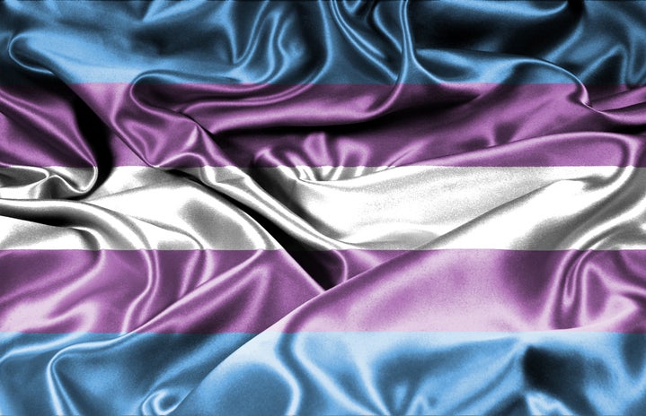 transgender flag lena balk unsplash?width=719&height=464&fit=crop&auto=webp