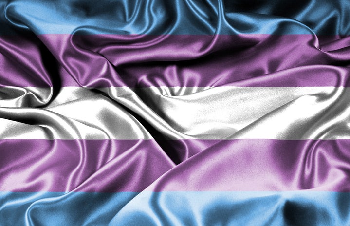 transgender flag lena balk unsplash?width=719&height=464&fit=crop&auto=webp