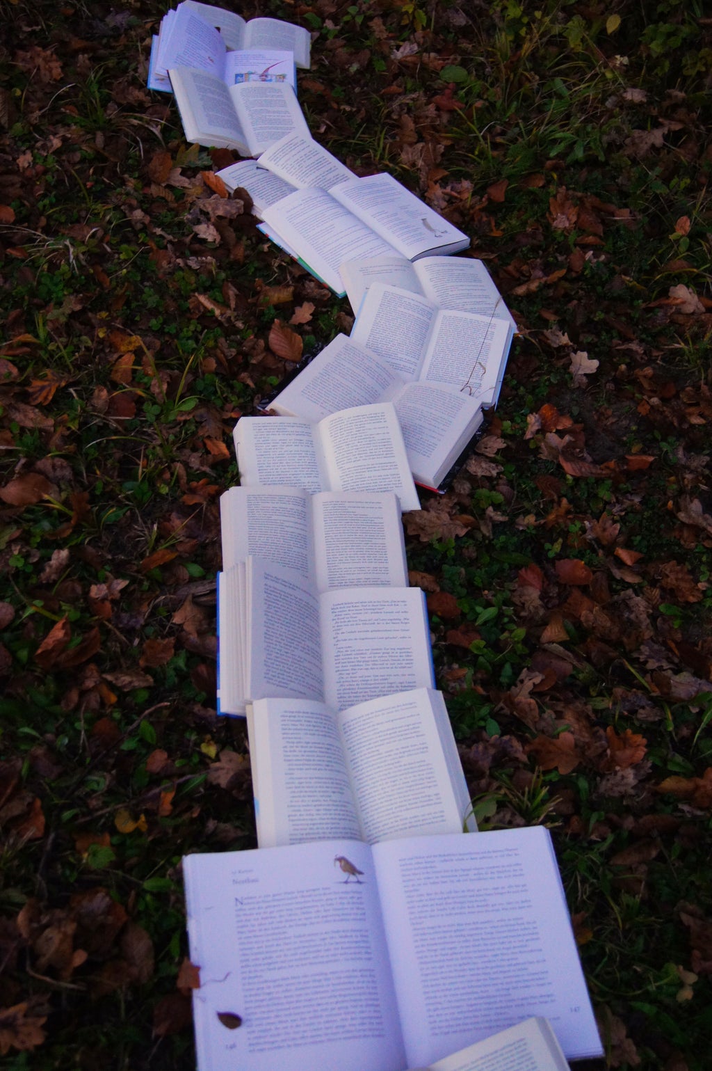 Open books on grass littered with fall leaves