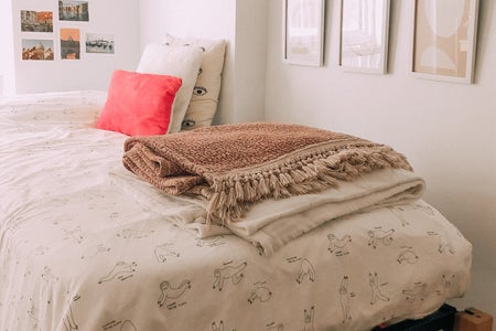 Dorm bed and framed wall art