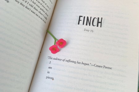 A page from the book "All The Bright Places" by Jennifer Niven