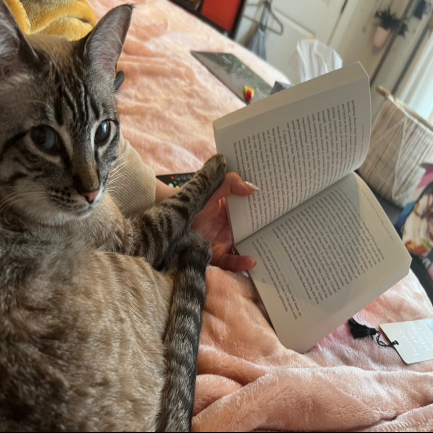 Reading book with cat