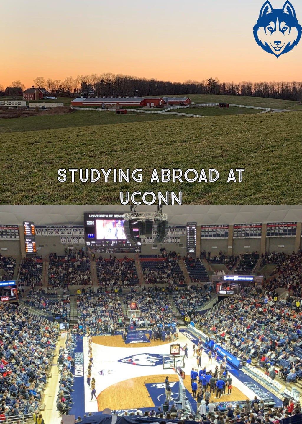 UConn study abroad collage