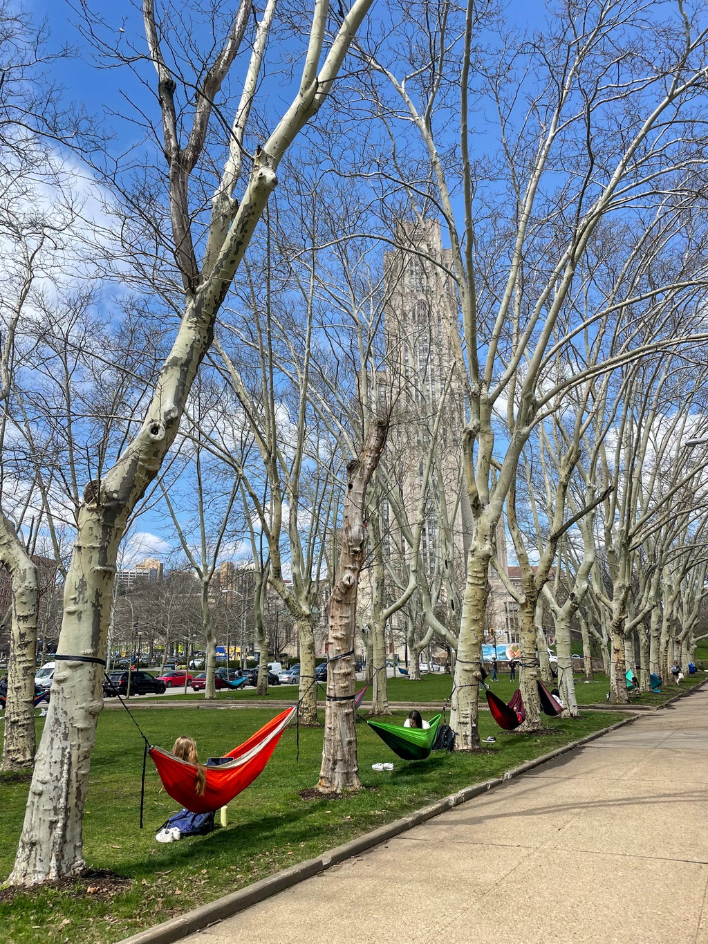 Hammocks outside of the Cathedral of Learning