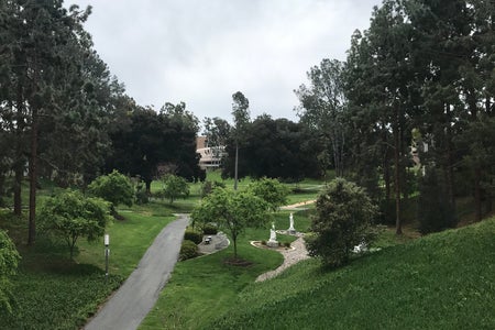 Aldrich Park View