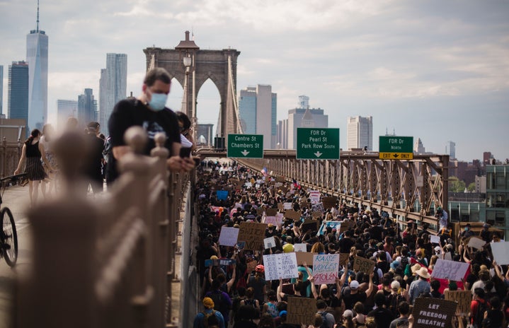 crowd of protesters on a bridge