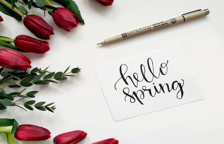 Hello Spring sign with pen and roses by Alena Koval?width=719&height=464&fit=crop&auto=webp