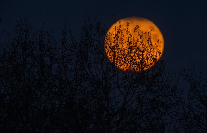 Night sky with orange Moon