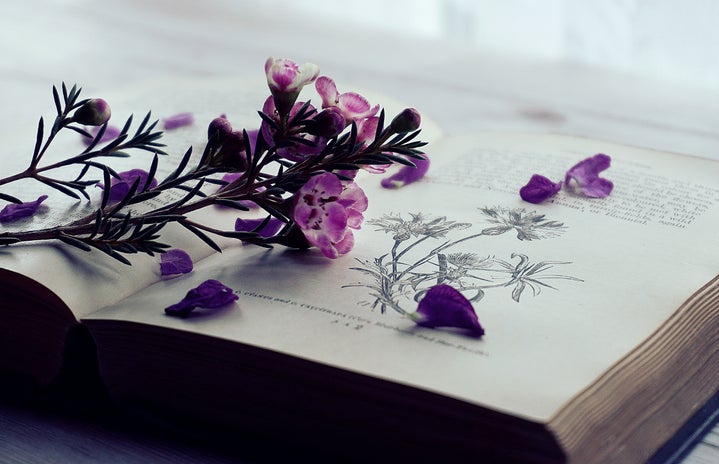 book with purple flowers