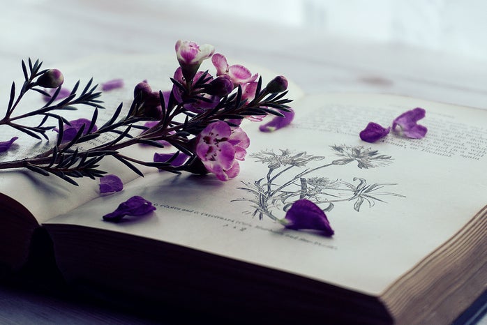 book with purple flowers