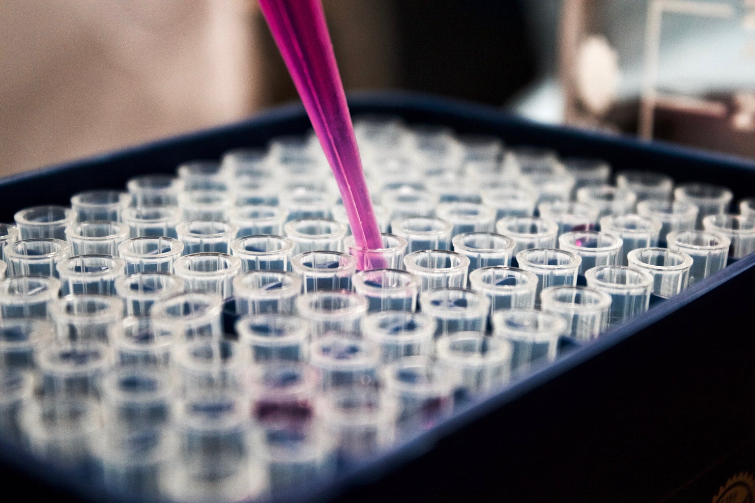 person putting liquid into test tubes