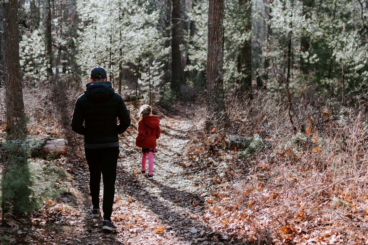 Man and child walking in the forest