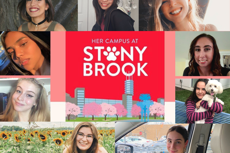 Get to know the Stony Brook Team Article