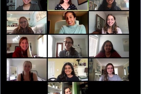 Zoom Screen Capture of HC McMaster virtual meeting